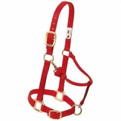 Budget โค๏ธ Weaver Leather Original Adjustable Chin And Throat Snap Halter 1 In. ๐ฅฐ 9 Budget โค๏ธ Weaver Leather Original Adjustable Chin And Throat Snap Halter 1 In. ๐ฅฐ -Equine Sales Shop 0025550 1