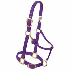 Promo ๐ Weaver Leather Original Adjustable Chin And Throat Snap Horse Halter โค๏ธ 16 Promo ๐ Weaver Leather Original Adjustable Chin And Throat Snap Horse Halter โค๏ธ -Equine Sales Shop 1013227new