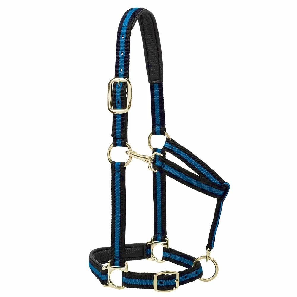 Cheapest โญ Weaver Leather Padded Adjustable Chin And Throat Snap Horse Halter ๐ฅฐ 5 Cheapest โญ Weaver Leather Padded Adjustable Chin And Throat Snap Horse Halter ๐ฅฐ - Image 3