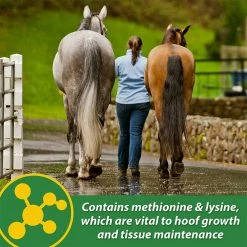 Best Pirce 🎁 Farnam HB 15 Hoof Supplement 3 Lb. ⌛ -Equine Sales Shop 4596170 3