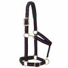 Cheapest โญ Weaver Leather Padded Adjustable Chin And Throat Snap Horse Halter ๐ฅฐ 1 Cheapest โญ Weaver Leather Padded Adjustable Chin And Throat Snap Horse Halter ๐ฅฐ -Equine Sales Shop 7318521