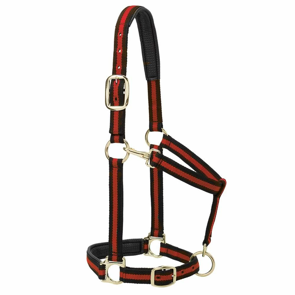Cheapest โญ Weaver Leather Padded Adjustable Chin And Throat Snap Horse Halter ๐ฅฐ 4 Cheapest โญ Weaver Leather Padded Adjustable Chin And Throat Snap Horse Halter ๐ฅฐ - Image 2