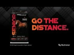 Best Pirce 😉 Proforce Senior 50 Lbs. 👍 -Equine Sales Shop hqdefault 2 50