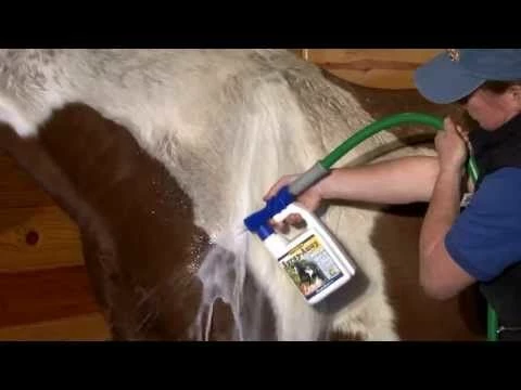 Top 10 ๐ Mane N Tail Spray Away Horse Body Wash - 32 Oz. Bottle โค๏ธ 3 Top 10 ๐ Mane N Tail Spray Away Horse Body Wash - 32 Oz. Bottle โค๏ธ - Image 2