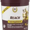 Best reviews of ๐ Farnam Reach Joint Supplement 2.8 Lb. ๐ 1 Best reviews of ๐ Farnam Reach Joint Supplement 2.8 Lb. ๐ -Equine Sales Shop img10996564