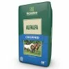 Cheapest 👍 Healthy Choice Premium Chopped Alfalfa 40 Lb. ⌛ 1 Cheapest 👍 Healthy Choice Premium Chopped Alfalfa 40 Lb. ⌛ -Equine Sales Shop img11928228