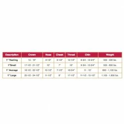 Budget โค๏ธ Weaver Leather Original Adjustable Chin And Throat Snap Halter 1 In. ๐ฅฐ 10 Budget โค๏ธ Weaver Leather Original Adjustable Chin And Throat Snap Halter 1 In. ๐ฅฐ -Equine Sales Shop mas4391